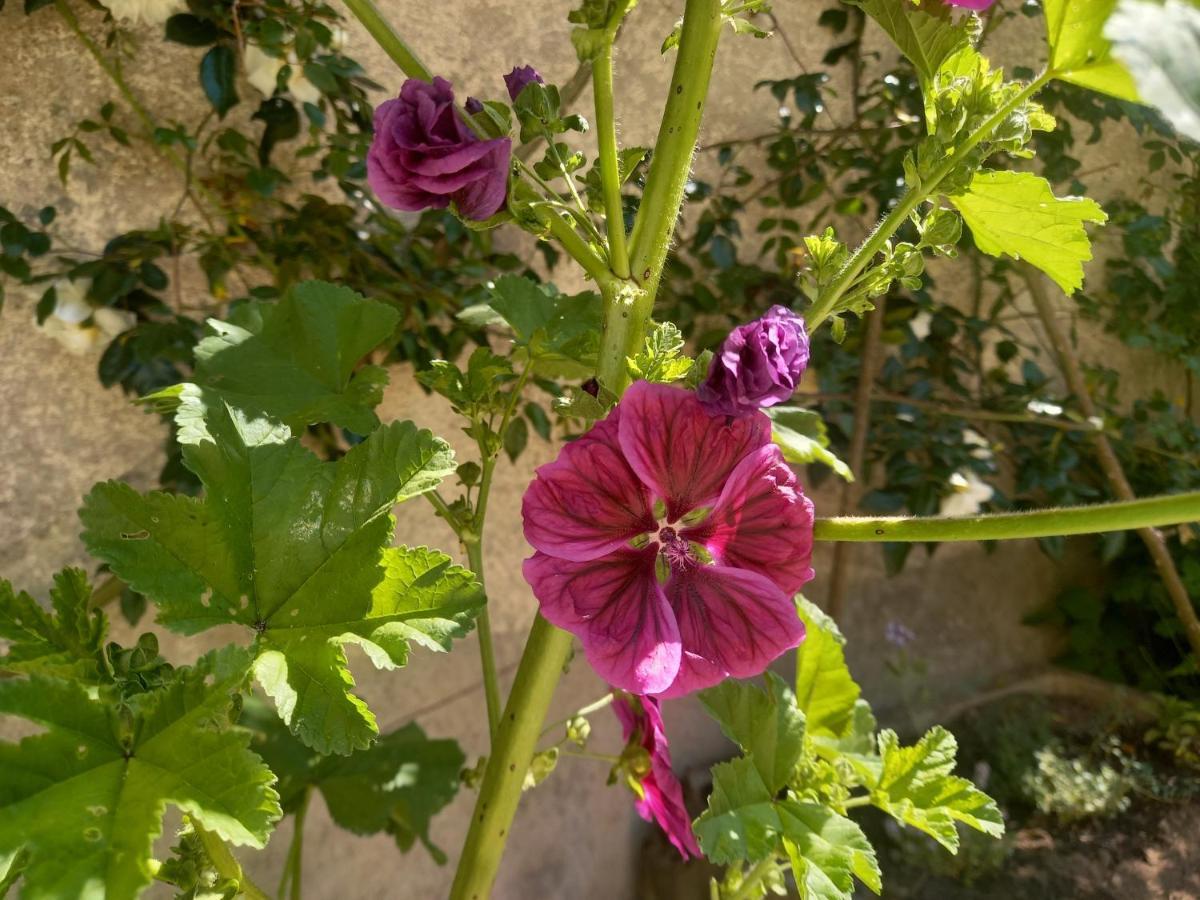 Maison Violette En Berry Aigurande Luaran gambar
