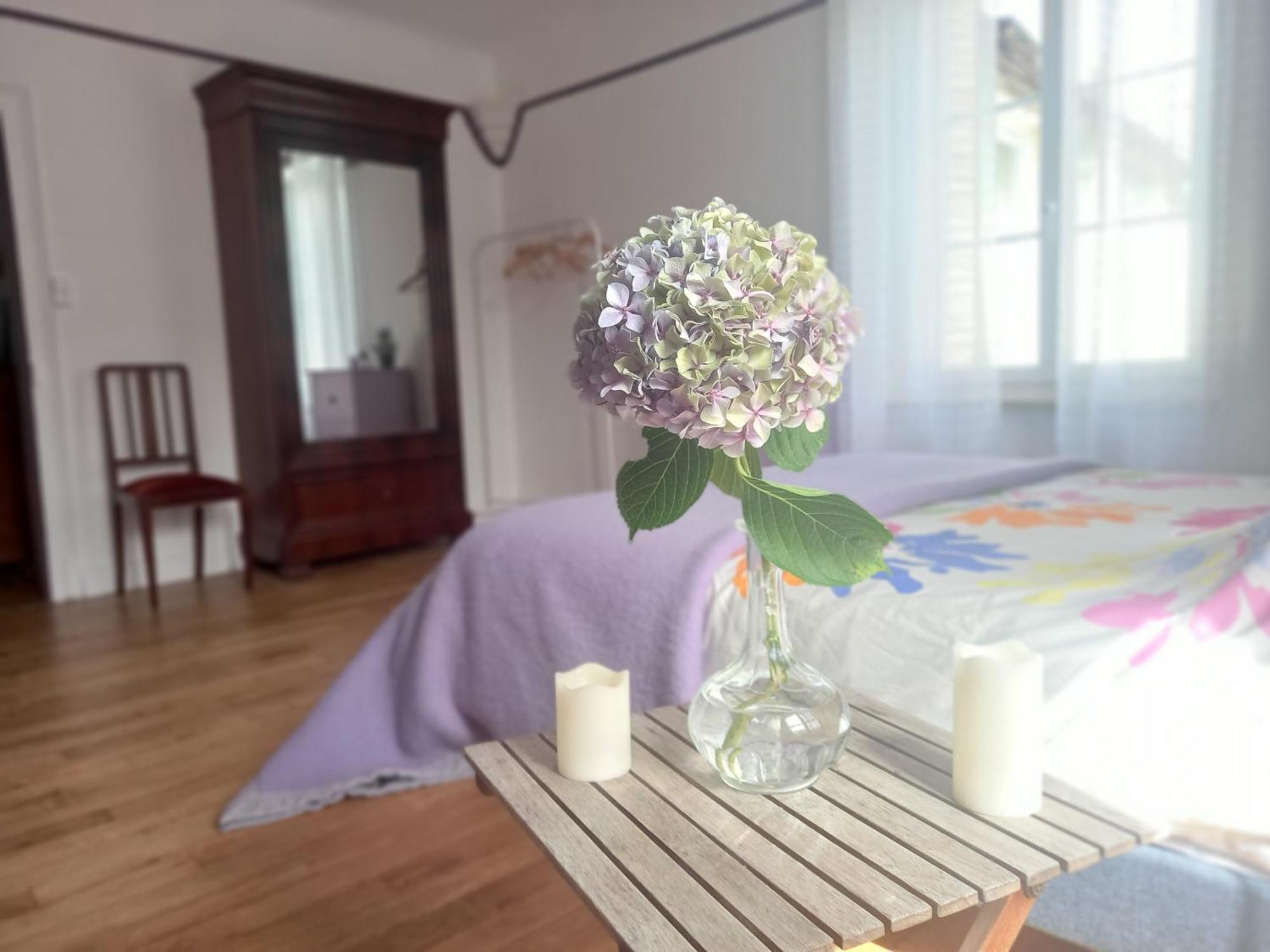Maison Violette En Berry Aigurande Luaran gambar